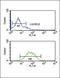 Sprouty RTK Signaling Antagonist 4 antibody, LS-C161477, Lifespan Biosciences, Flow Cytometry image 