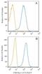 CD82 Molecule antibody, NBP2-21792PCP, Novus Biologicals, Flow Cytometry image 