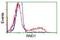 Rho Family GTPase 1 antibody, NBP2-03000, Novus Biologicals, Flow Cytometry image 