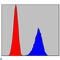 Ring Finger And CHY Zinc Finger Domain Containing 1 antibody, LS-C812741, Lifespan Biosciences, Western Blot image 