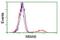 Metabolism Of Cobalamin Associated B antibody, NBP2-03417, Novus Biologicals, Flow Cytometry image 