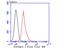 Stathmin 1 antibody, NBP2-76906, Novus Biologicals, Flow Cytometry image 