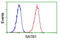 SATB Homeobox 1 antibody, GTX83679, GeneTex, Flow Cytometry image 