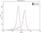 Plexin B1 antibody, 23795-1-AP, Proteintech Group, Flow Cytometry image 