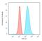 Fascin Actin-Bundling Protein 1 antibody, GTX34720, GeneTex, Flow Cytometry image 