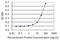 GTF2I Repeat Domain Containing 1 antibody, H00009569-M08, Novus Biologicals, Enzyme Linked Immunosorbent Assay image 