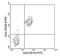 CD38 Molecule antibody, NBP1-27954, Novus Biologicals, Flow Cytometry image 