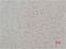 Calcium Sensing Receptor antibody, STJ97414, St John