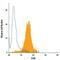 Snail Family Transcriptional Repressor 2 antibody, IC7408P, R&D Systems, Flow Cytometry image 