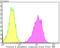 Glucose-6-Phosphate Isomerase antibody, NBP2-76840, Novus Biologicals, Flow Cytometry image 