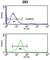 Integrin Subunit Alpha 6 antibody, abx034296, Abbexa, Western Blot image 