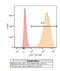 Toll Like Receptor 7 antibody, NBP2-25274AF594, Novus Biologicals, Flow Cytometry image 