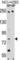 Adaptor Protein, Phosphotyrosine Interacting With PH Domain And Leucine Zipper 2 antibody, abx029544, Abbexa, Western Blot image 