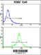 Transaldolase 1 antibody, 62-396, ProSci, Flow Cytometry image 