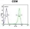 Cytochrome C Oxidase Assembly Factor Heme A:Farnesyltransferase COX10 antibody, abx025867, Abbexa, Western Blot image 