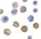 Interleukin 1 Receptor Associated Kinase 1 antibody, LS-C249, Lifespan Biosciences, Immunocytochemistry image 