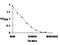 Regulatory Factor X Associated Ankyrin Containing Protein antibody, GTX30257, GeneTex, Enzyme Linked Immunosorbent Assay image 