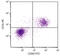 Thy-1 Cell Surface Antigen antibody, 98-861, ProSci, Immunohistochemistry paraffin image 