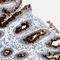 Lipocalin 2 antibody, HYB 211-02-02, Invitrogen Antibodies, Immunohistochemistry frozen image 