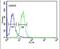 Rh Family B Glycoprotein (Gene/Pseudogene) antibody, PA5-26978, Invitrogen Antibodies, Flow Cytometry image 