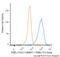 SRY-Box 10 antibody, NBP2-47708B, Novus Biologicals, Flow Cytometry image 