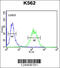 Acyl-CoA Synthetase Bubblegum Family Member 2 antibody, 64-149, ProSci, Immunofluorescence image 