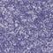 Calcium Binding Protein, Spermatid Associated 1 antibody, NBP2-33750, Novus Biologicals, Immunohistochemistry paraffin image 