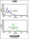 Integrin Subunit Alpha 5 antibody, 61-961, ProSci, Flow Cytometry image 