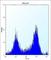 Casein Kinase 1 Alpha 1 antibody, abx028304, Abbexa, Western Blot image 