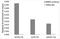 RB Binding Protein 4, Chromatin Remodeling Factor antibody, LS-C748949, Lifespan Biosciences, Chromatin Immunoprecipitation image 