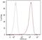 Endoglin antibody, GTX78340, GeneTex, Flow Cytometry image 