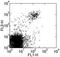 NKR-P1C antibody, 16-5941-82, Invitrogen Antibodies, Flow Cytometry image 