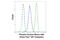 Tyrosine antibody, 9415S, Cell Signaling Technology, Flow Cytometry image 