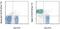 Sialic Acid Binding Ig Like Lectin 10 antibody, 46-5833-80, Invitrogen Antibodies, Flow Cytometry image 