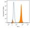 Forkhead Box A1 antibody, NBP2-45269, Novus Biologicals, Flow Cytometry image 