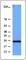 BH3 Interacting Domain Death Agonist antibody, 645001, BioLegend, Western Blot image 