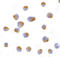 BCL2 Like 10 antibody, LS-B452, Lifespan Biosciences, Immunocytochemistry image 