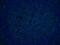 CD27 Molecule antibody, 66308-1-Ig, Proteintech Group, Immunofluorescence image 