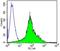 T Cell Receptor Alpha Constant antibody, NBP2-22491, Novus Biologicals, Flow Cytometry image 