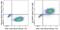 Neuroligin 4 X-Linked antibody, 53-9158-80, Invitrogen Antibodies, Flow Cytometry image 