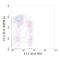 CD3 antibody, MA5-16726, Invitrogen Antibodies, Flow Cytometry image 