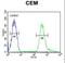 Teashirt Zinc Finger Homeobox 2 antibody, LS-B9329, Lifespan Biosciences, Flow Cytometry image 