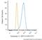 Keratin 15 antibody, NBP2-54463F, Novus Biologicals, Flow Cytometry image 