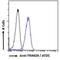 Tripartite motif-containing protein 29 antibody, NBP1-52000, Novus Biologicals, Flow Cytometry image 