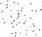 Toll-like receptor 6 antibody, 3653, ProSci Inc, Immunocytochemistry image 