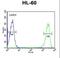 Killer Cell Immunoglobulin Like Receptor, Two Ig Domains And Short Cytoplasmic Tail 3 antibody, LS-C165532, Lifespan Biosciences, Flow Cytometry image 