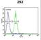 Potassium Voltage-Gated Channel Subfamily Q Member 1 antibody, LS-B9899, Lifespan Biosciences, Flow Cytometry image 