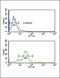 Endothelin Receptor Type B antibody, 62-464, ProSci, Flow Cytometry image 