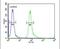 Nucleolar Protein 4 Like antibody, PA5-24475, Invitrogen Antibodies, Flow Cytometry image 