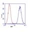 Apoptosis Inducing Factor Mitochondria Associated 1 antibody, 45-6200, Invitrogen Antibodies, Flow Cytometry image 